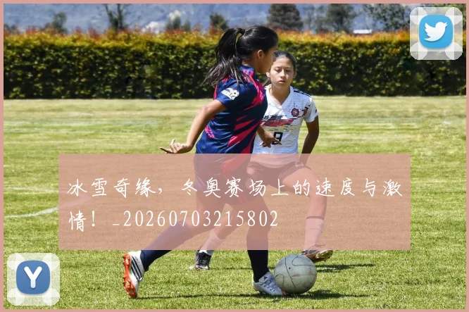 冰雪奇缘，冬奥赛场上的速度与激情！_20260703215802