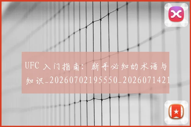 UFC 入门指南：新手必知的术语与知识_20260702195550_20260714215307