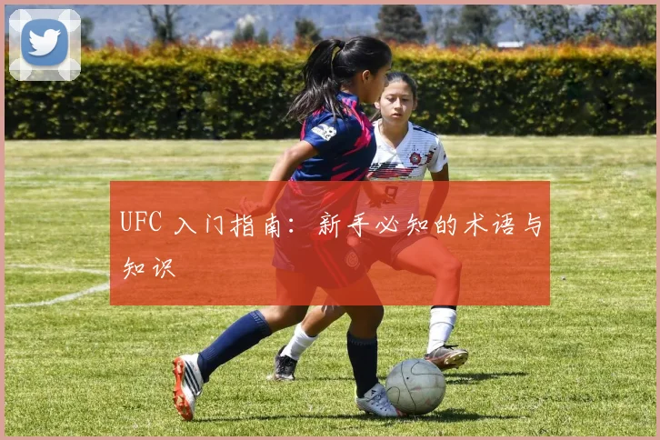 UFC 入门指南：新手必知的术语与知识