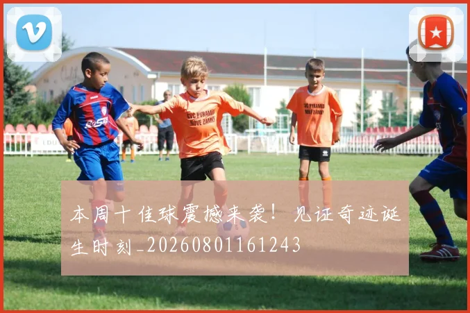 本周十佳球震撼来袭！见证奇迹诞生时刻_20260801161243